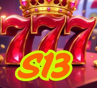 S13 APK icon